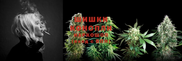PSILOCYBIN Козельск